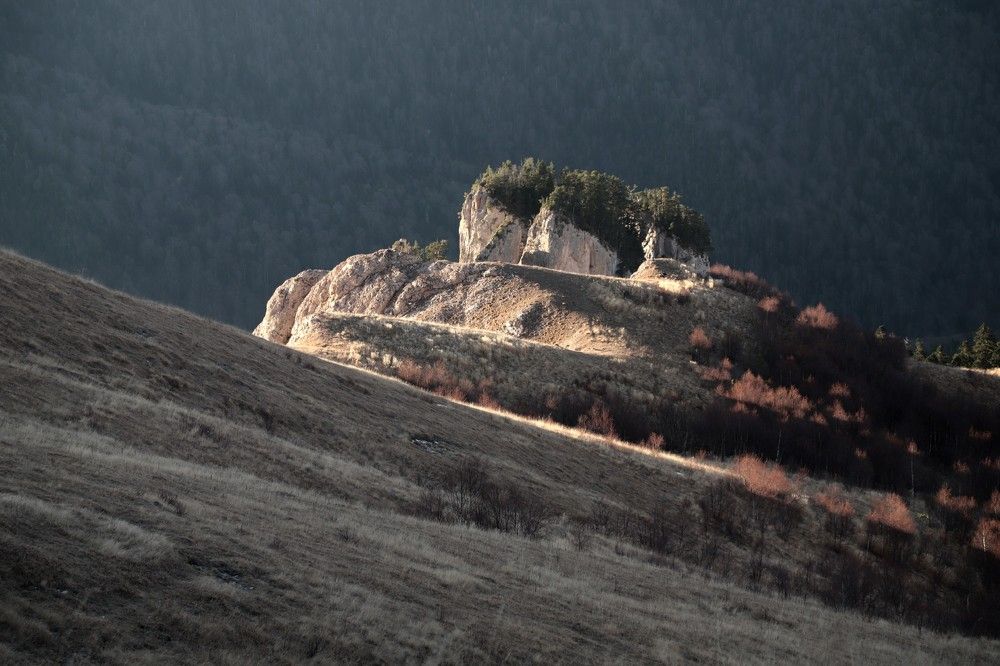 Photograph by Лада Денисова