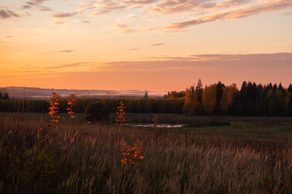 Фотография автора Екатерина Лапаева