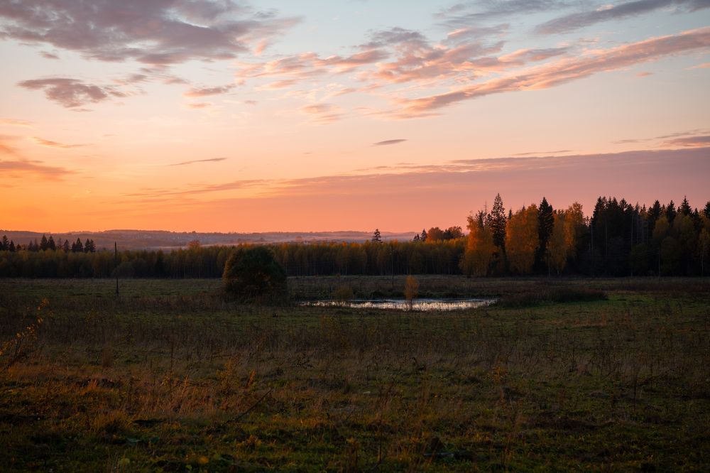 Фотография автора Екатерина Лапаева