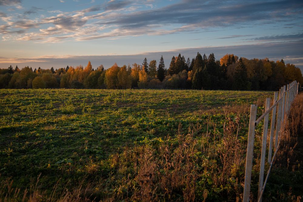 Фотография автора Екатерина Лапаева