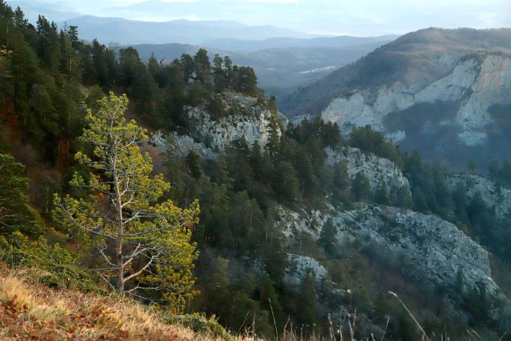 Photograph by Лада Денисова