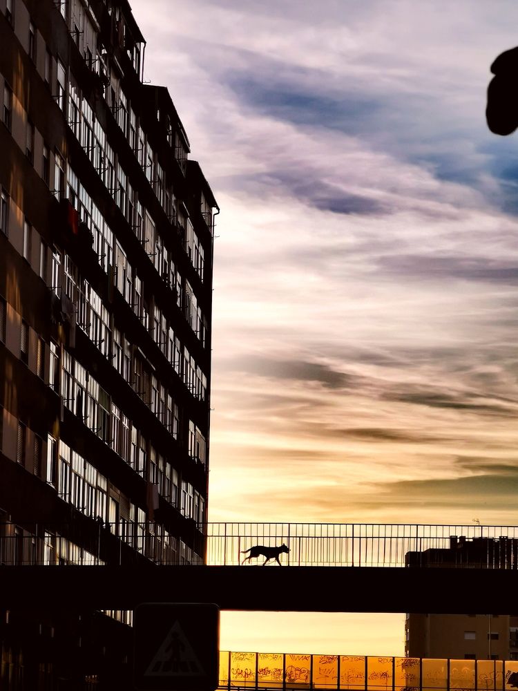 Photograph by Иван Шатный