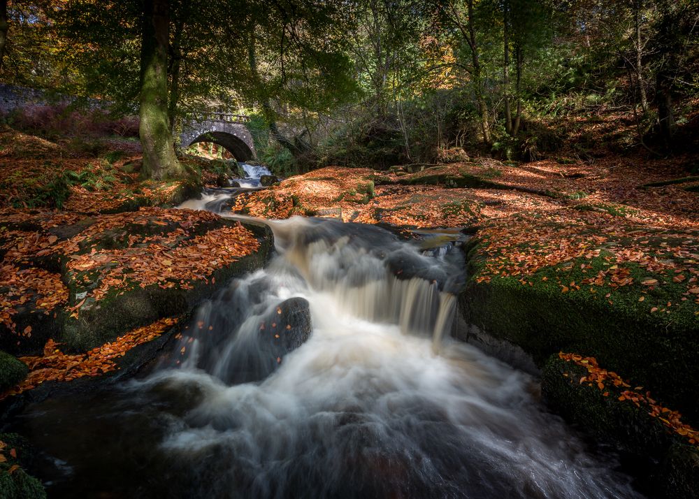 Photograph by Anatoly Chomko