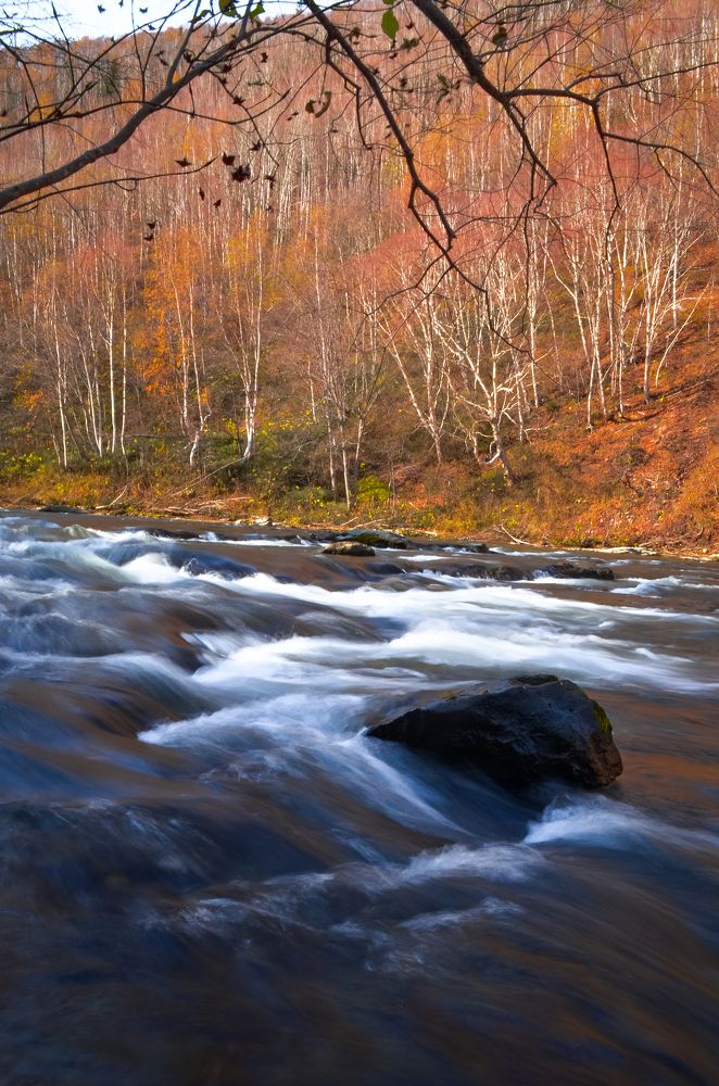 Photograph by Вероника Романенко
