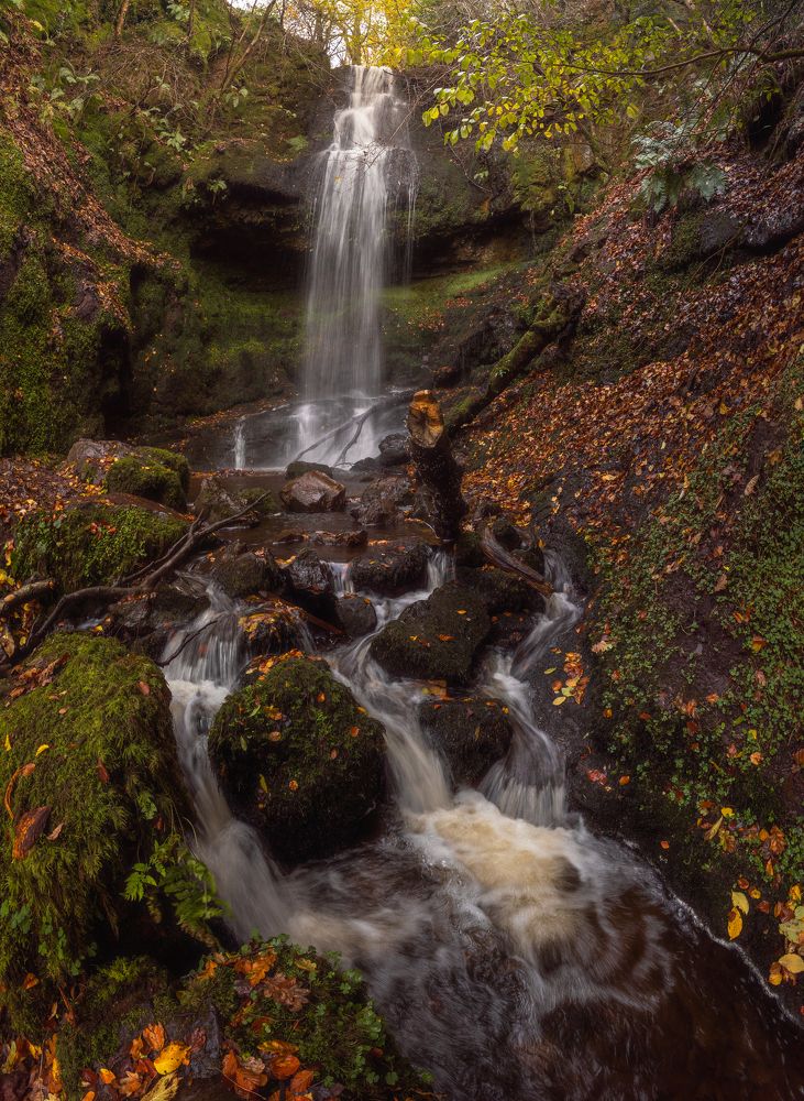 Photograph by Matt Wierzbicki