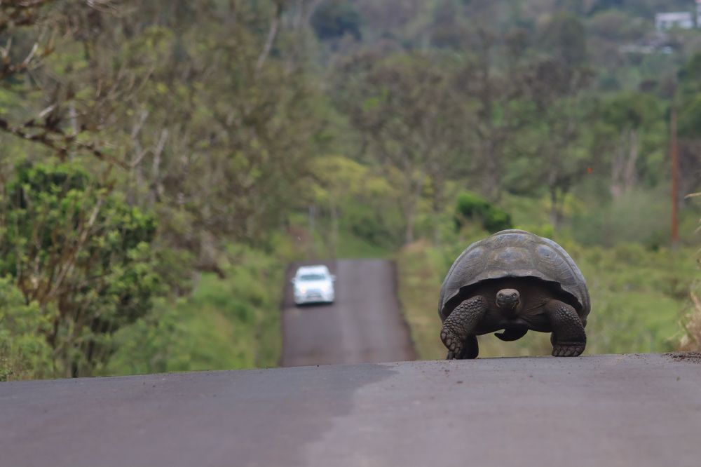 Photograph by Carlos Villalba