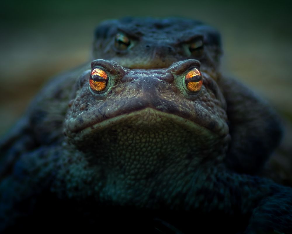 Photograph by Patryk George