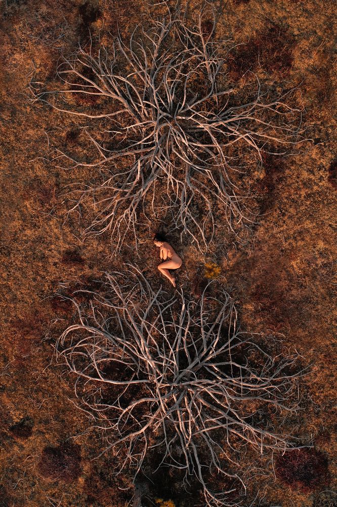 Photograph by Игорь Дудковский