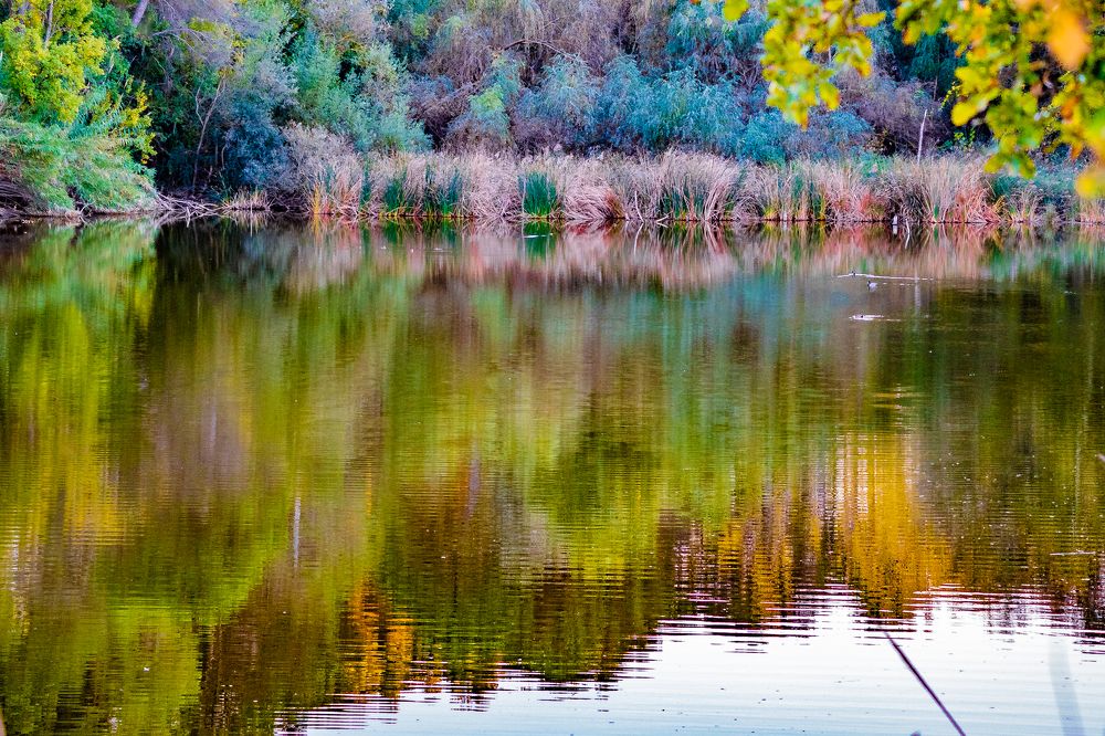 Photograph by Alejandro Suwezda