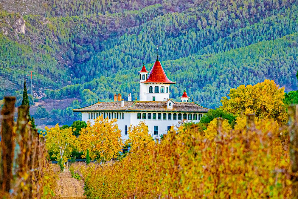 Photograph by Alejandro Suwezda