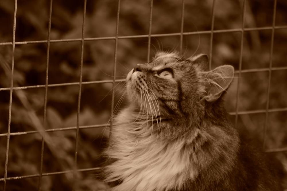 Photograph by Олеся Кузнецова