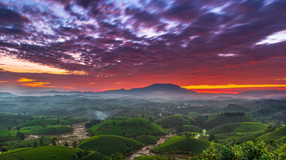 Photograph by Chris Duy