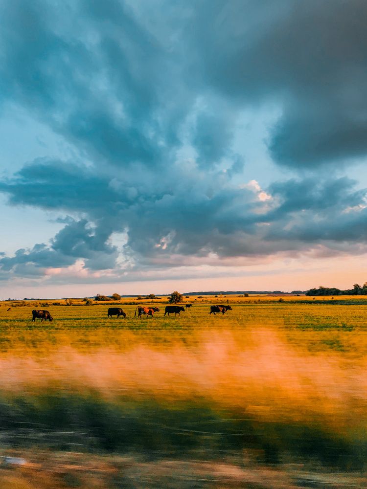 Photograph by Екатерина Алимова