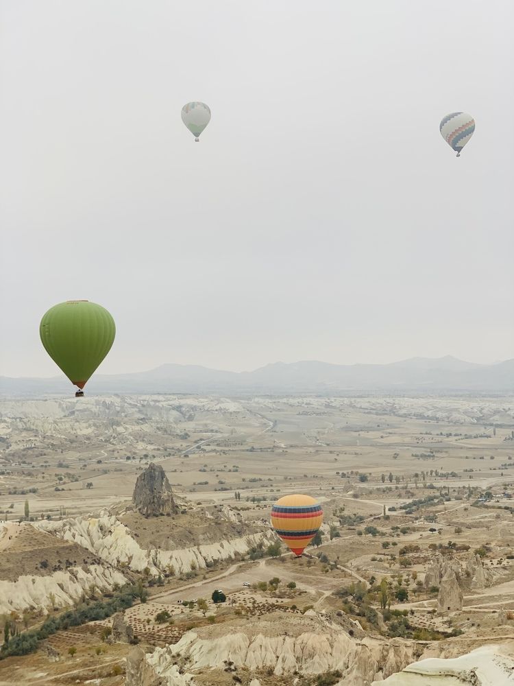 Photograph by Екатерина Алимова