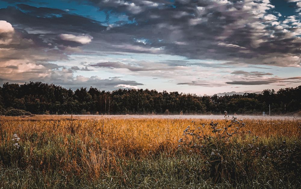 Photograph by Екатерина Алимова