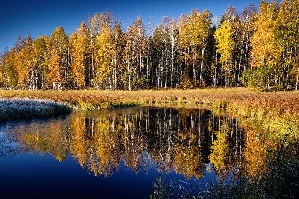 Photograph by Алексей Тишин