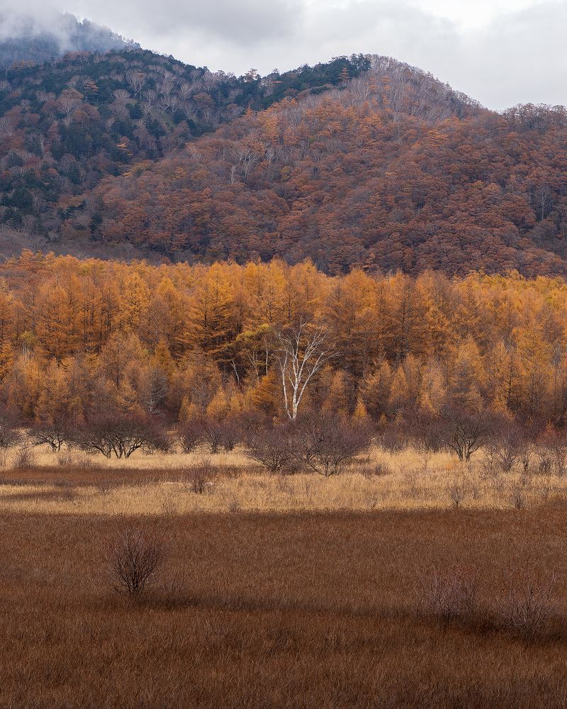 Photograph by Onishi Evgeniya