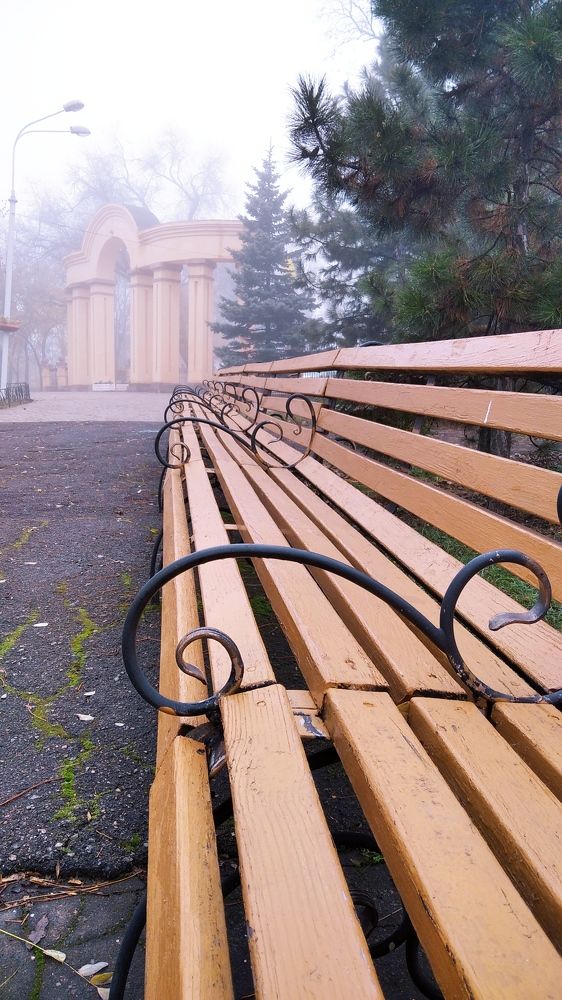 Photograph by Людмила Ермоленко