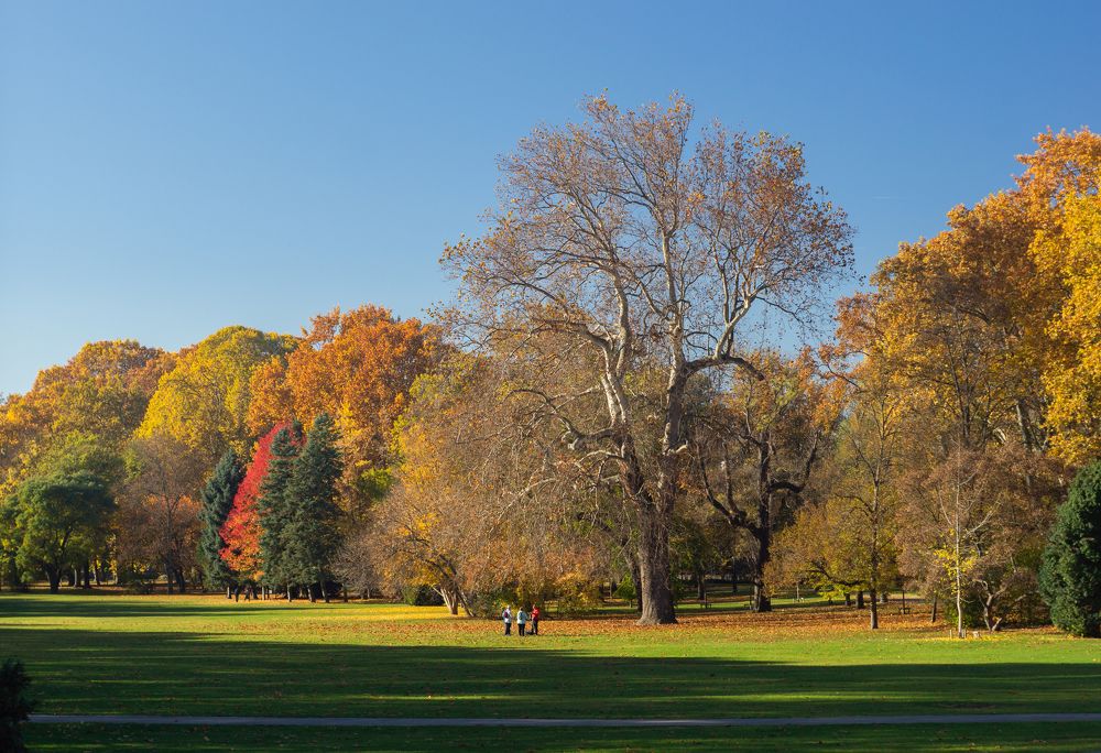 Photograph by Максим Захаров