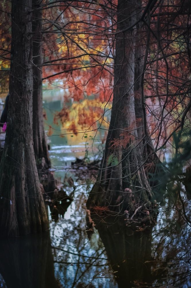 Photograph by Дарья Вега