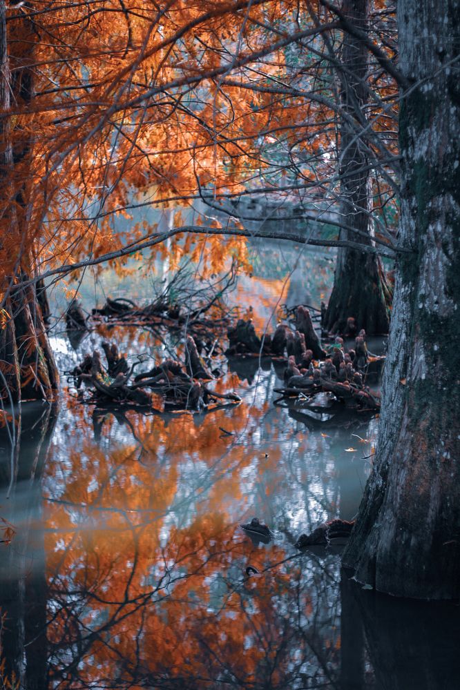 Photograph by Дарья Вега