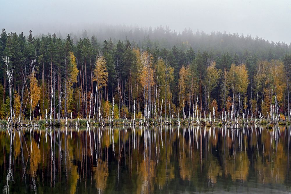 Photograph by Василий Колобзаров