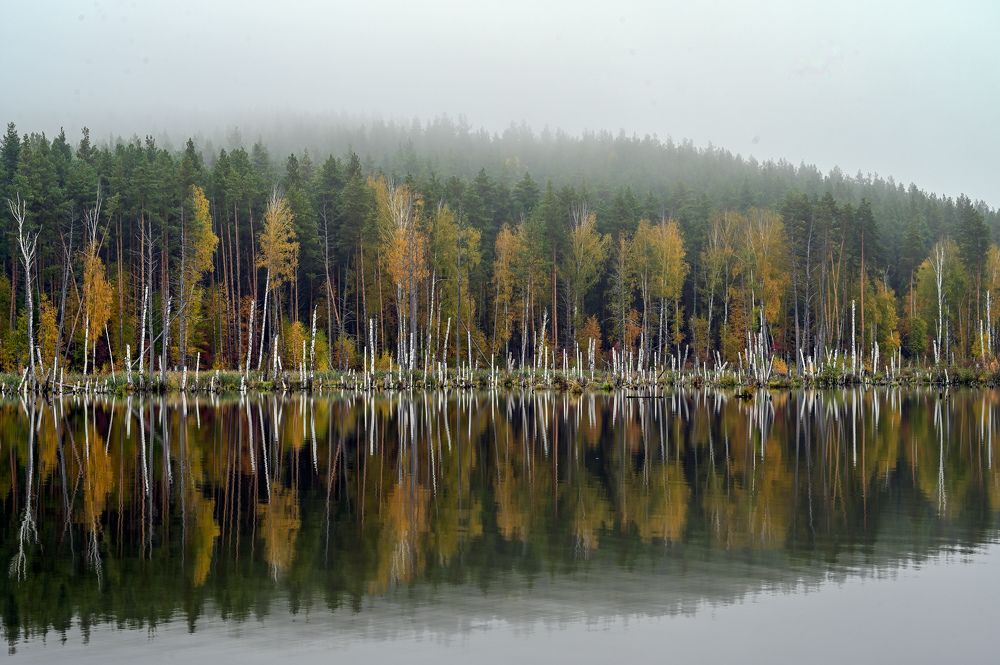 Туман с отражениями