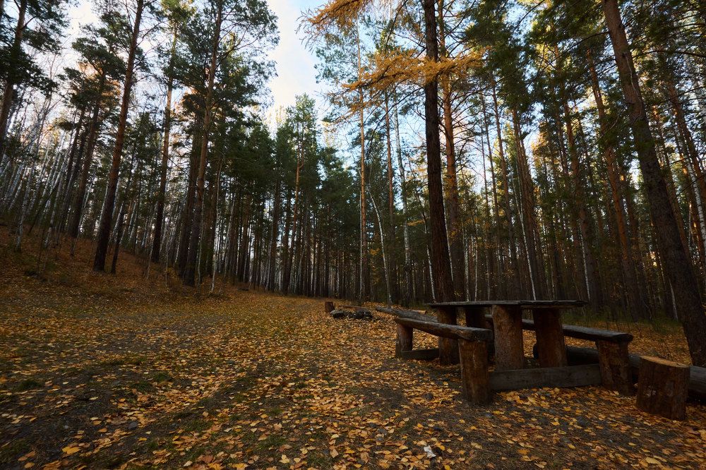 Photograph by Василий Шуманев