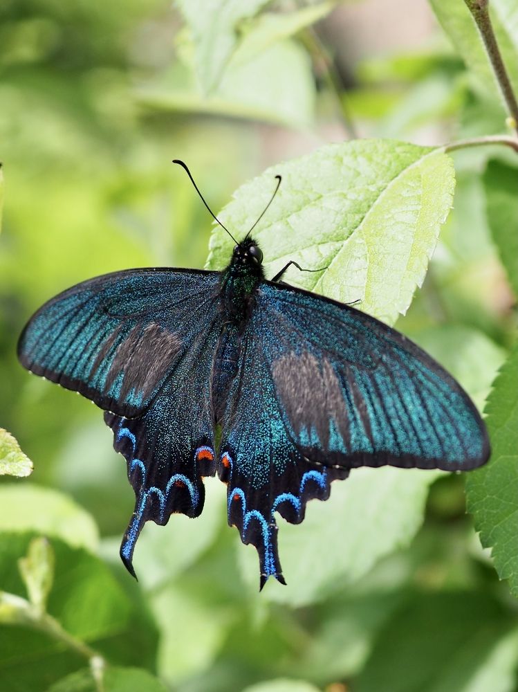 Photograph by Юлия Поршнева