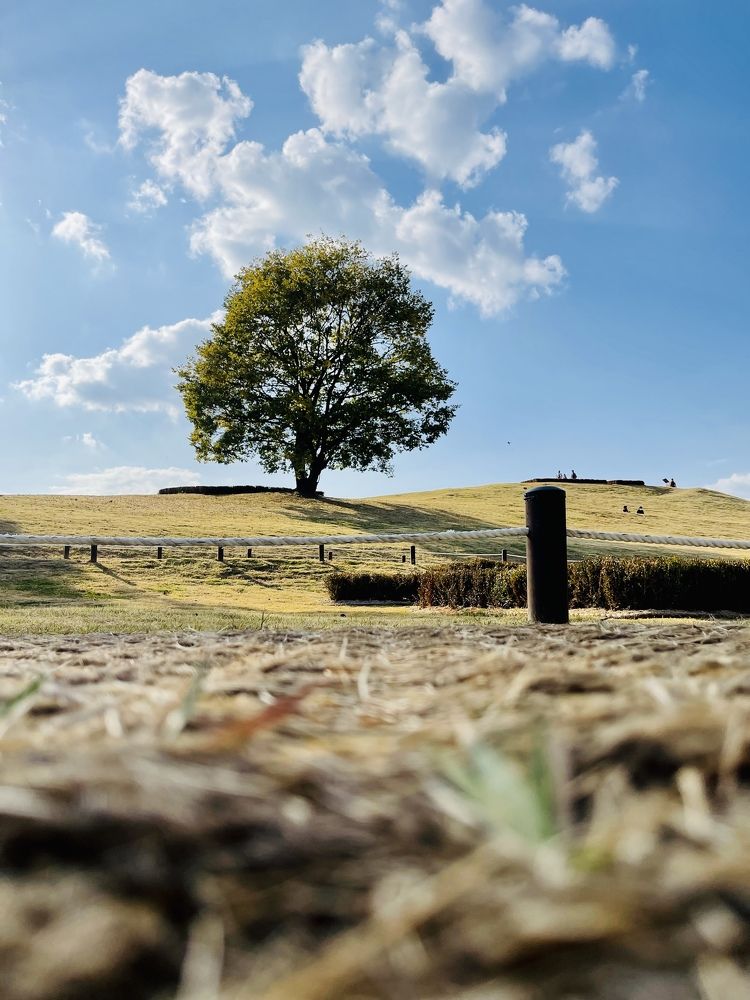 Photograph by Пан Владимир
