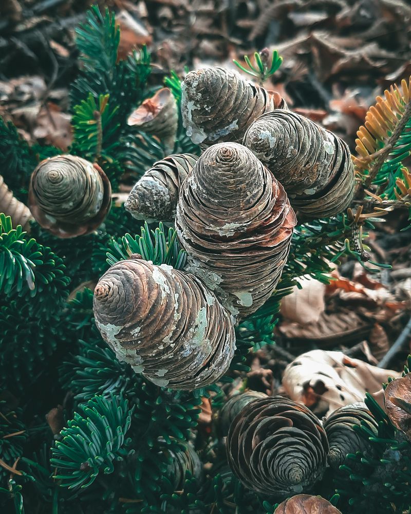 Photograph by Mobigraf