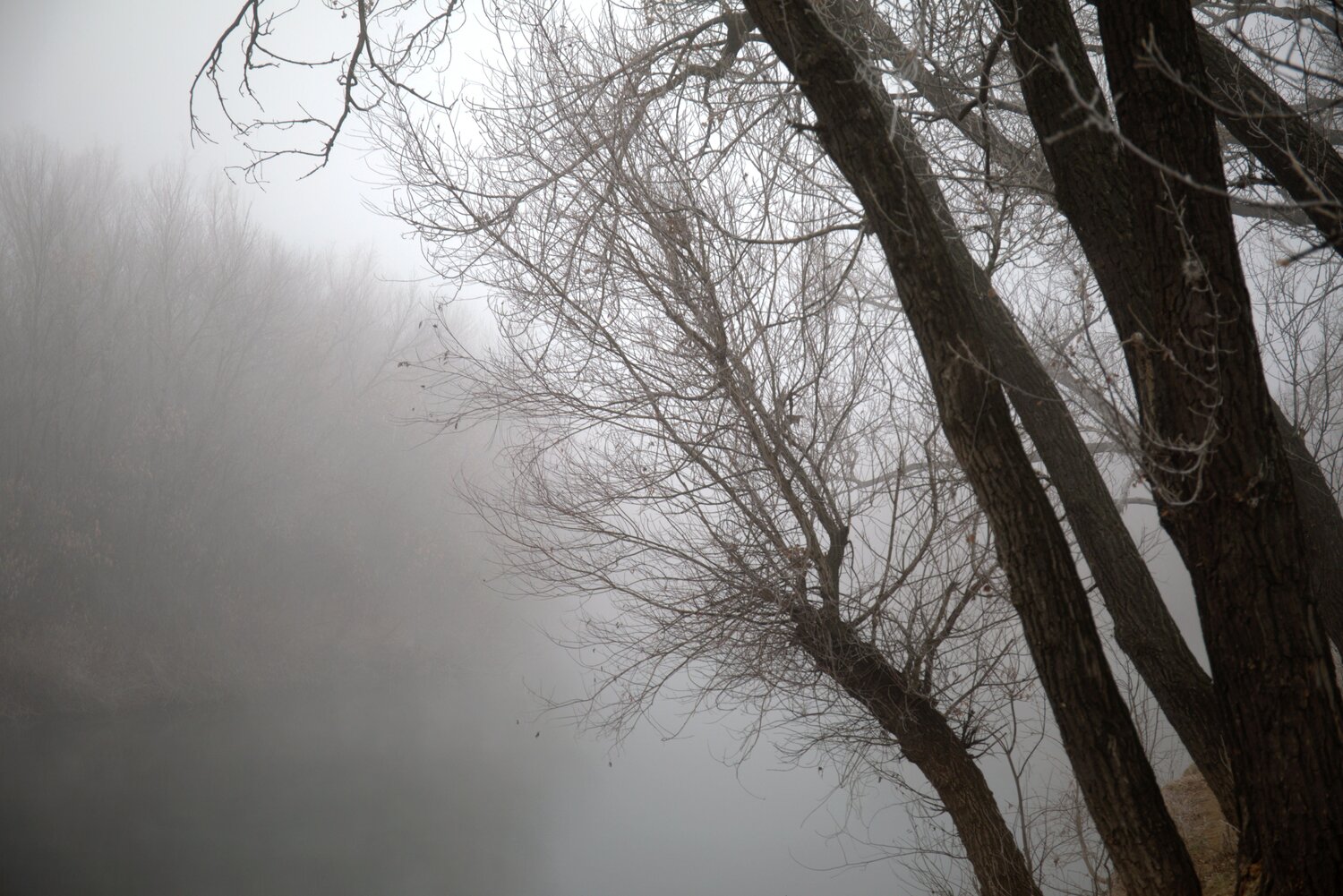 Photo #6715162