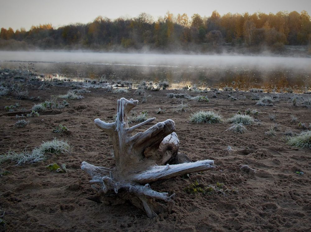 Photograph by Леонид Маркеев