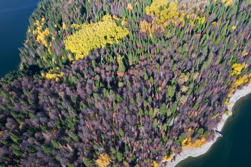 Photograph by Aleksei Utkin