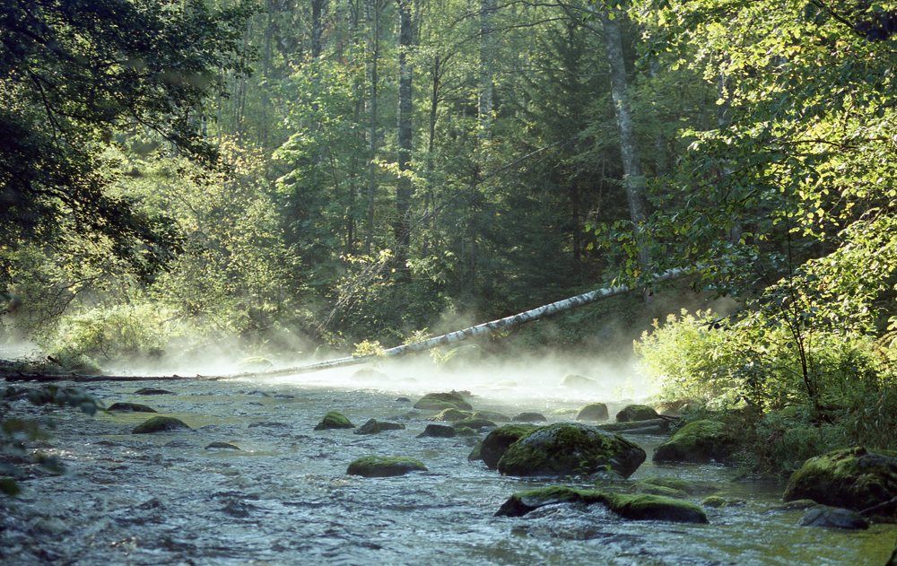 Photograph by Матвей Кармаков