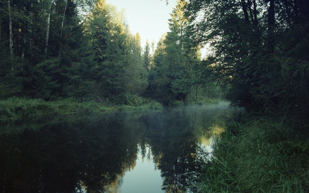 Photograph by Матвей Кармаков