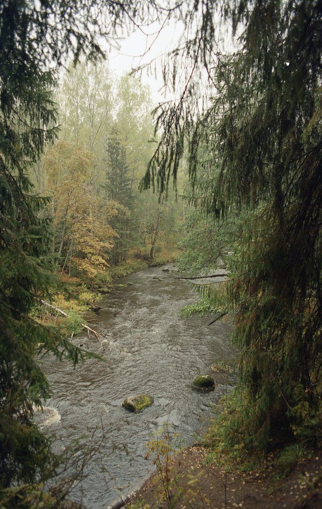 Photograph by Матвей Кармаков