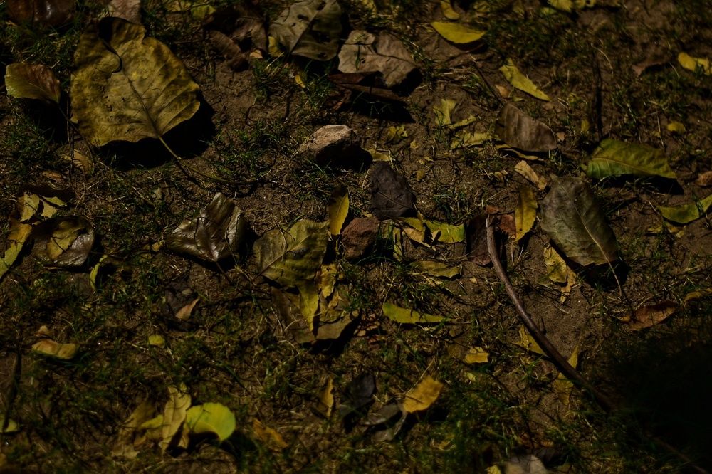 Фотография автора ABHISHEK SHAH