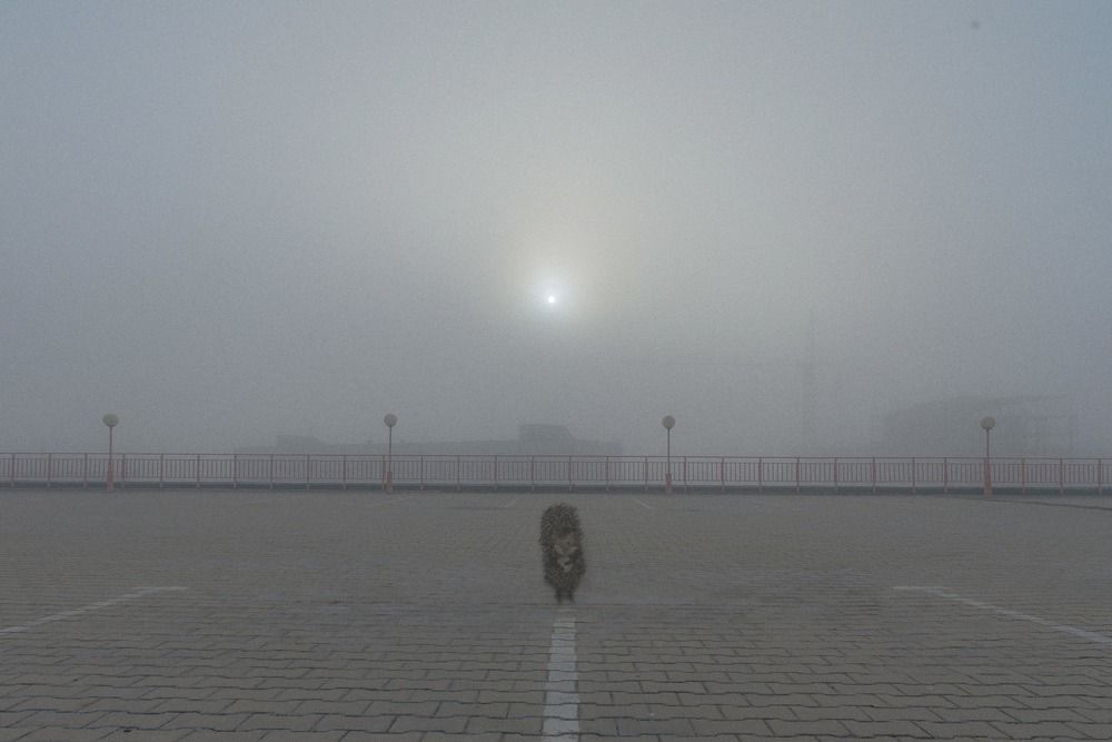 Фотография автора Валерий Невмержицкий