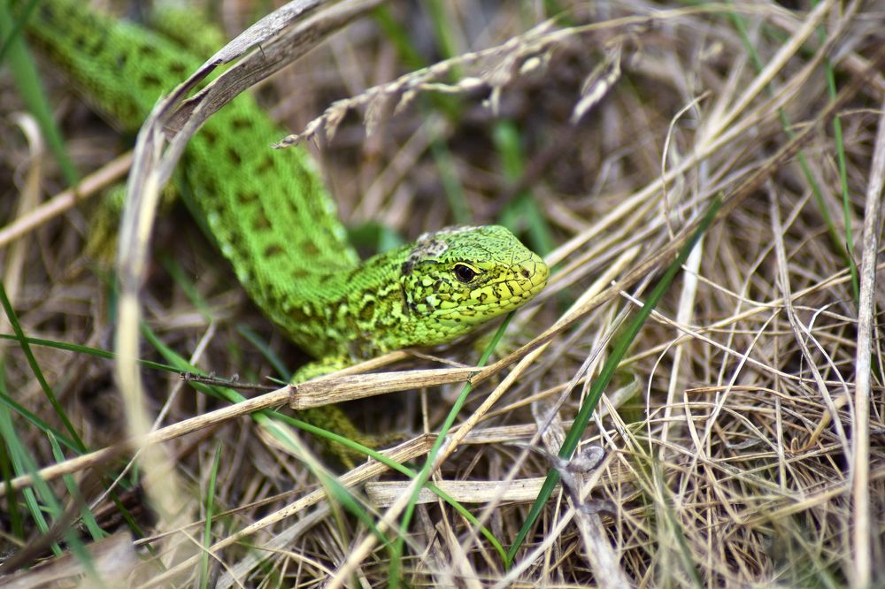 Photograph by Андрей Мольков