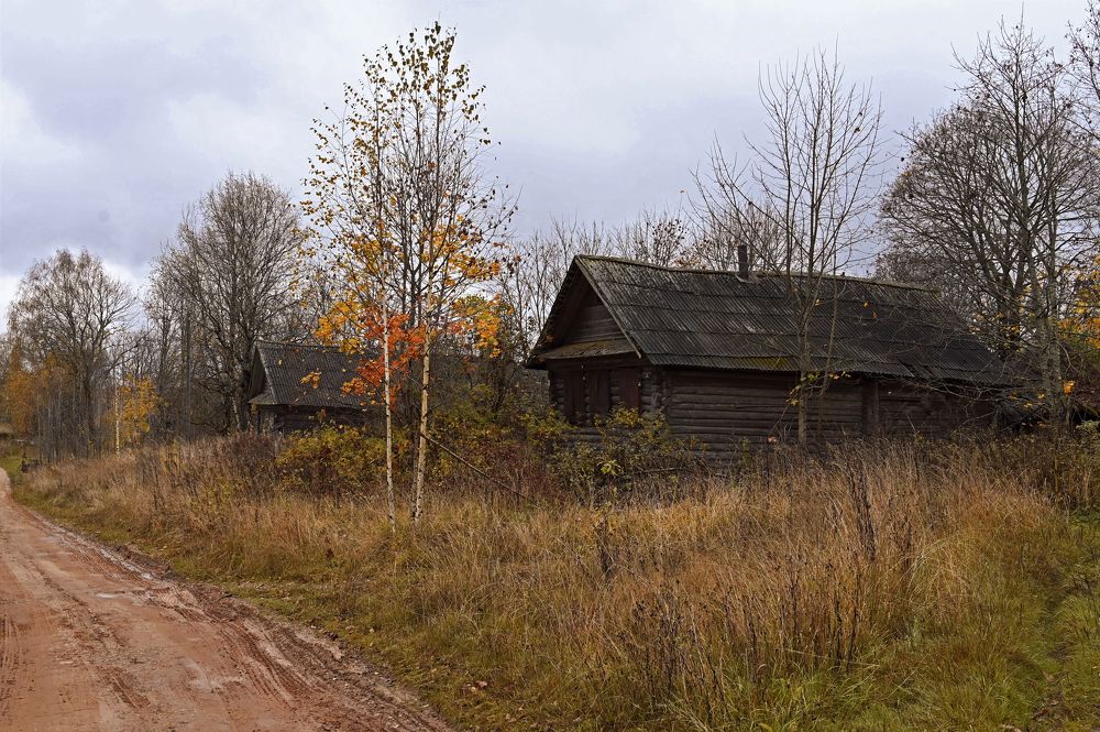 Photograph by Гусева Юлия