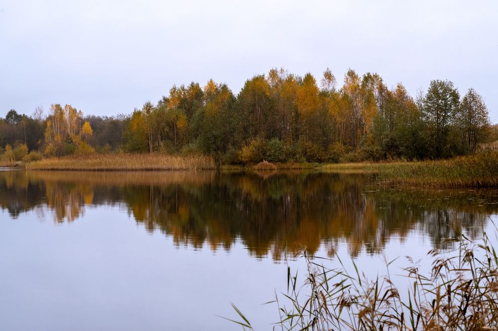 Photograph by Гусева Юлия