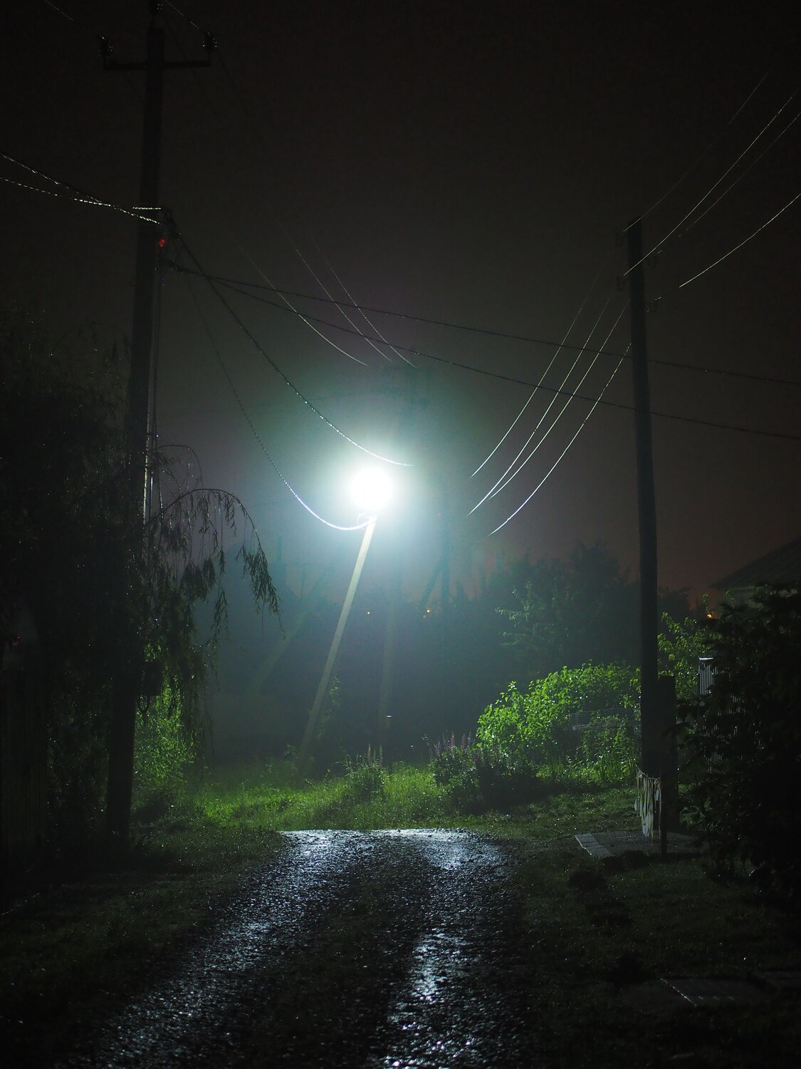 Photo #6715305