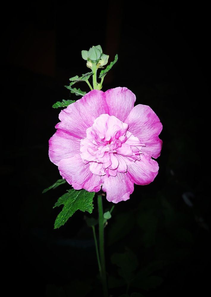 Photograph by Марина Василенко