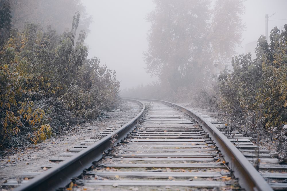 Photograph by Лариса Метелева