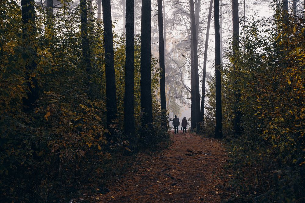 Photograph by Лариса Метелева