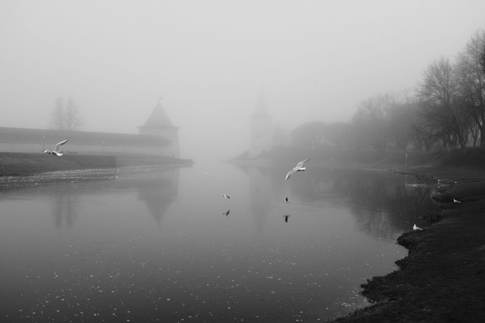 Photograph by Андрей Царев