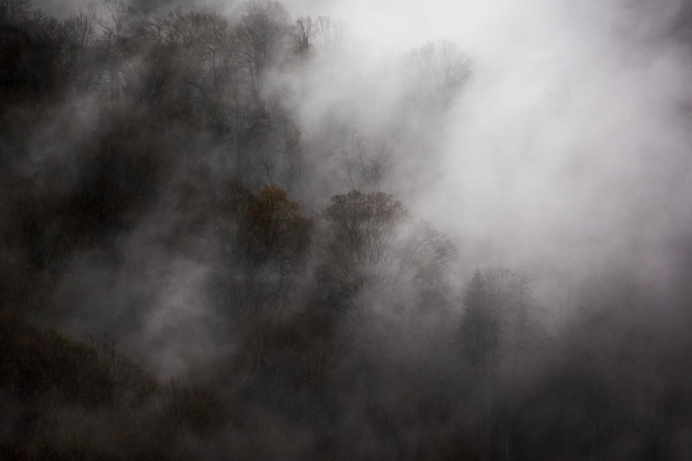 Photograph by Мелсон