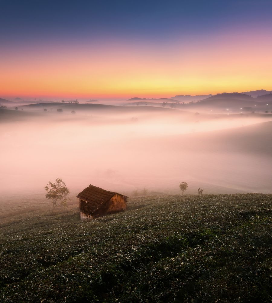 Photograph by Cao Ky Nhan