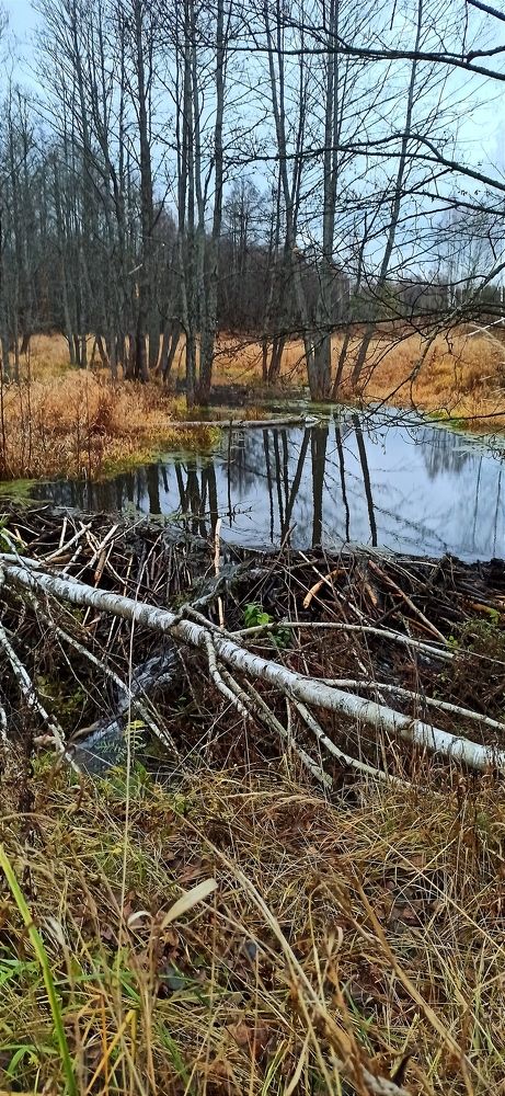 Photograph by Сергей Симаков